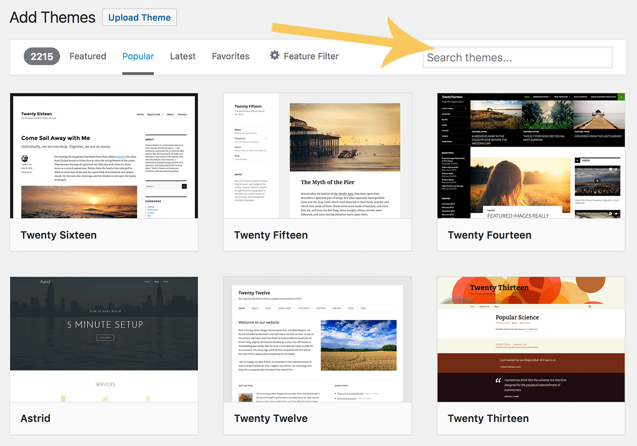 WordPress: scelta tema