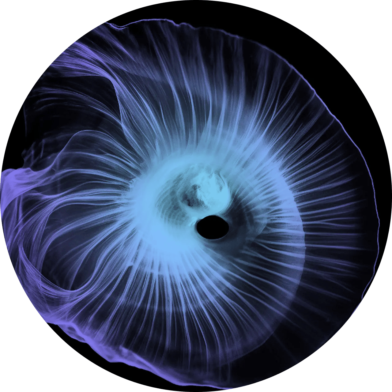 InfrastructureEngineering-HeroSection-Desk (1) (1) copia