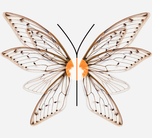 Adoption e user experience della piattaforma HubSpot