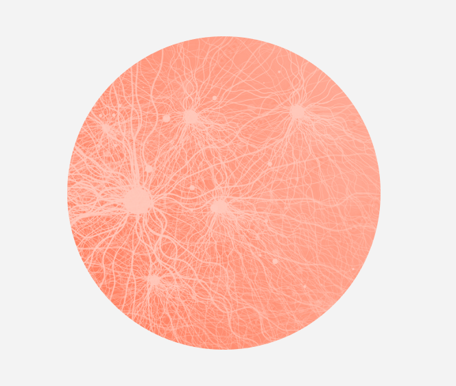 Frame 2608644
