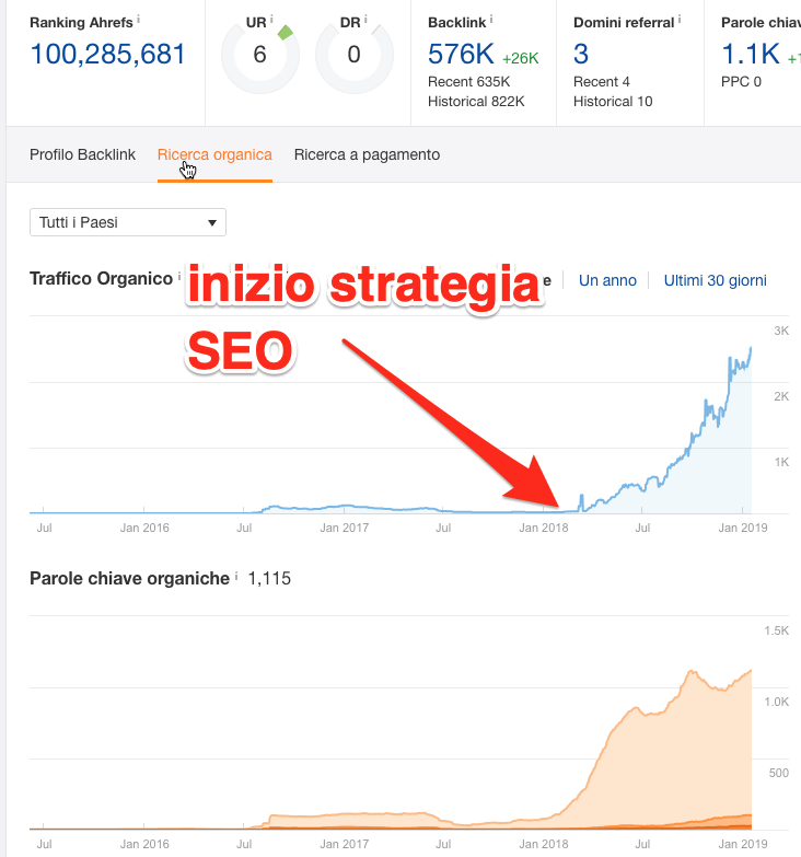 Andamento traffico organico e indicizzazione keyoword per un sito di uno studio legale penalista