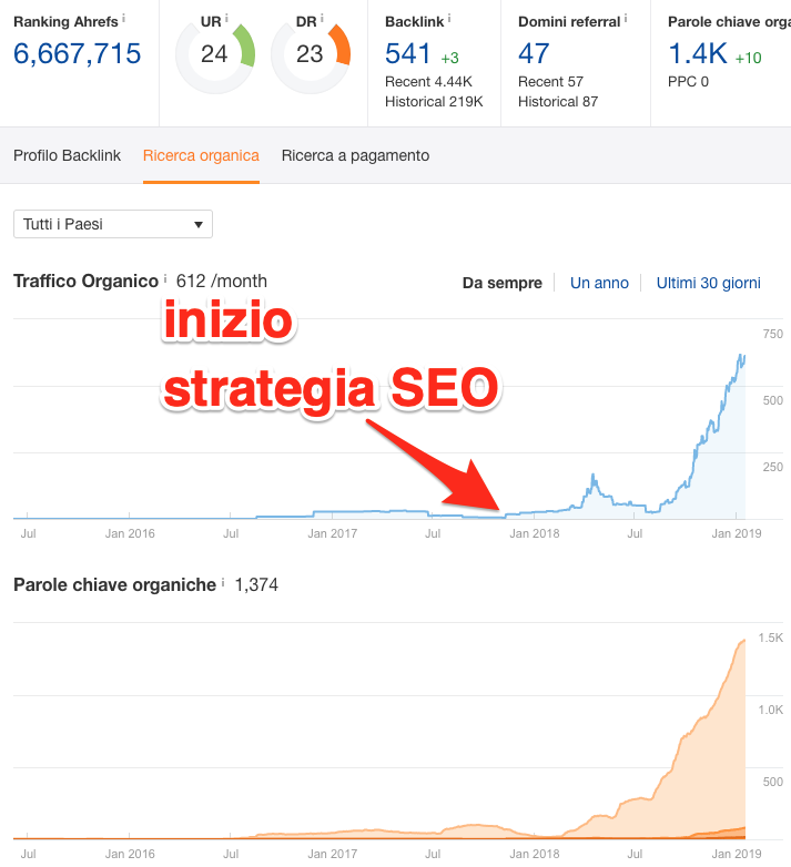 Andamento della visibilità organica per un'agenzia di digital marketing