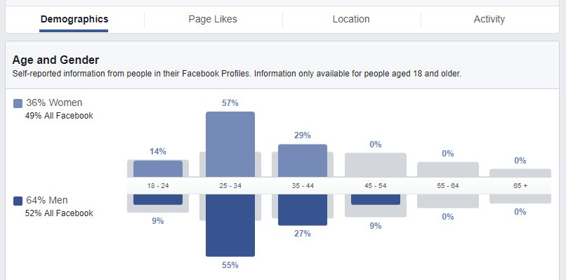 screenshot Facebook Insights per creare campagne