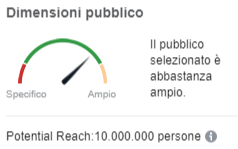 screenshot di dimensioni pubblico stima reach