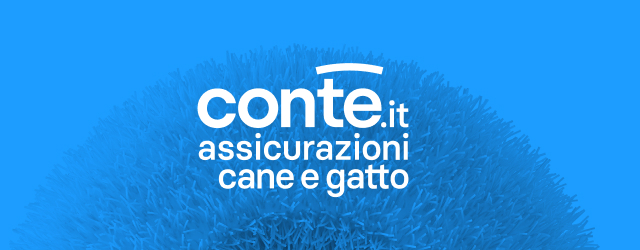 case-preview-conte-caneegatto