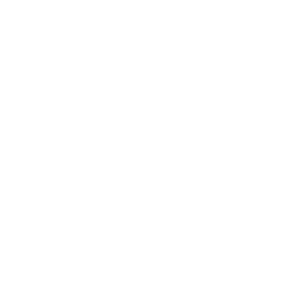 translated-logo-white-small