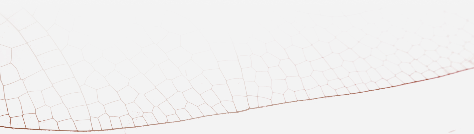 whiyHubspot-section2-backgroundimage